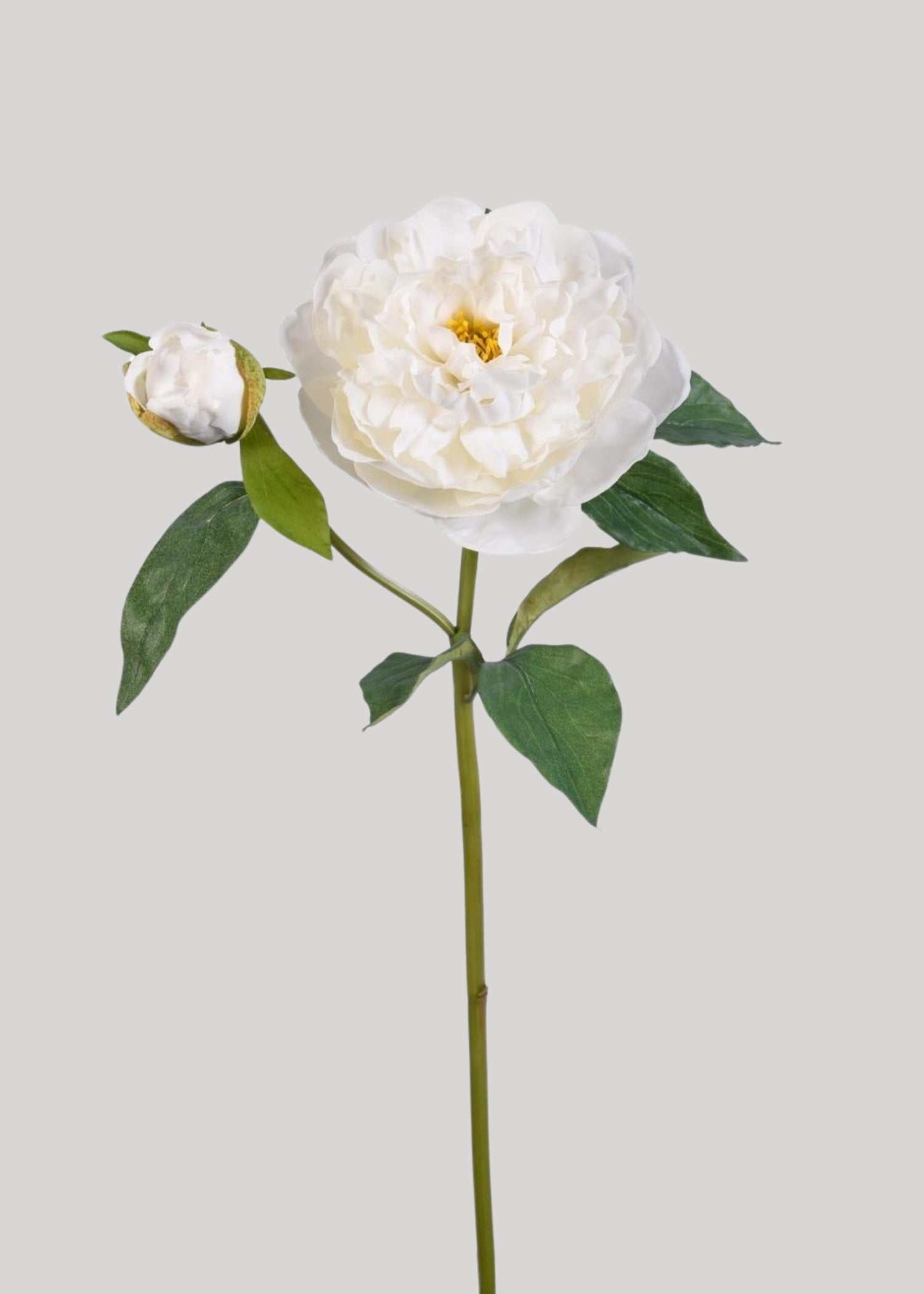 Natural Touch Peony Faux Flower in White