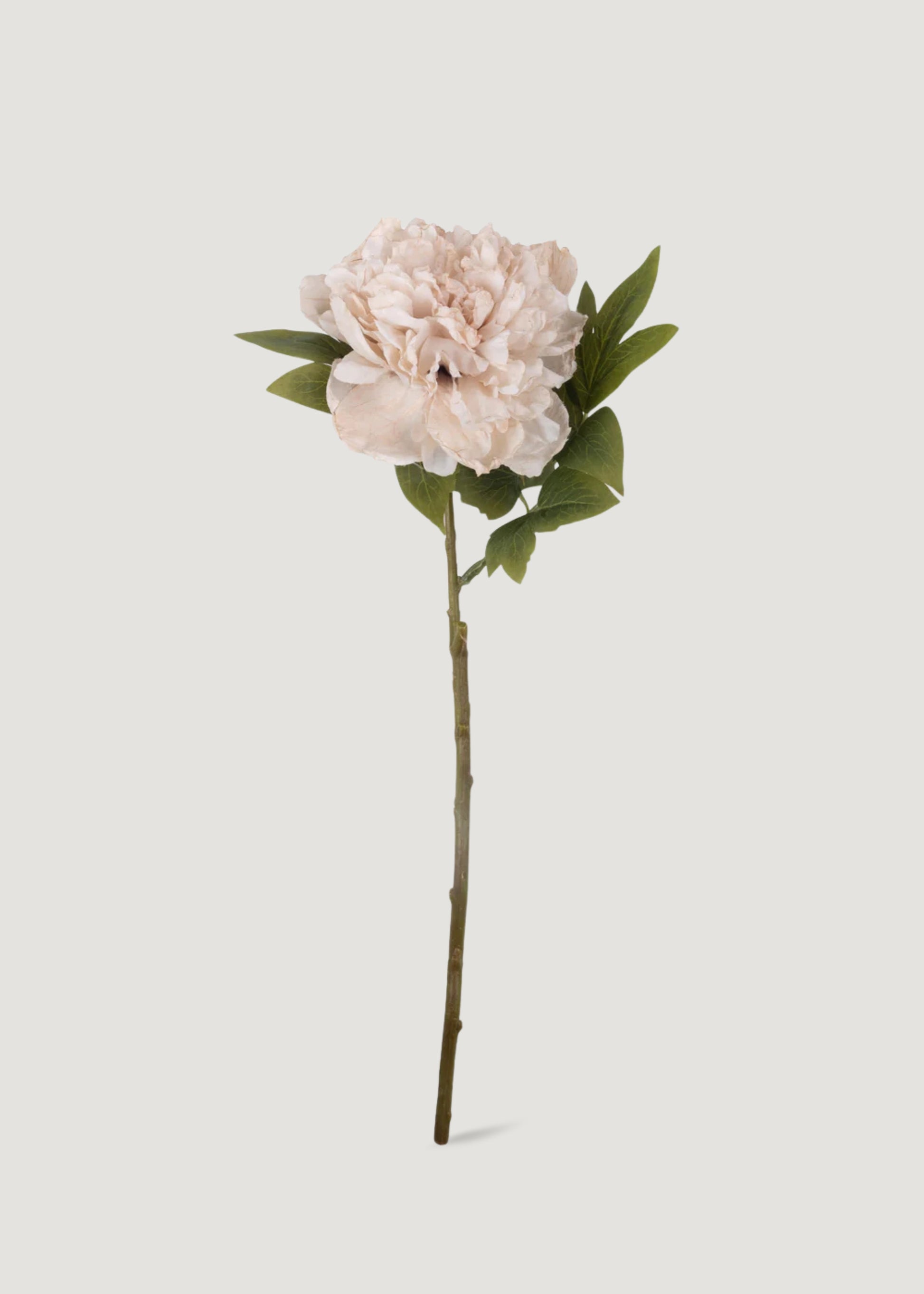 Beige Blush Artificial Peony Flower