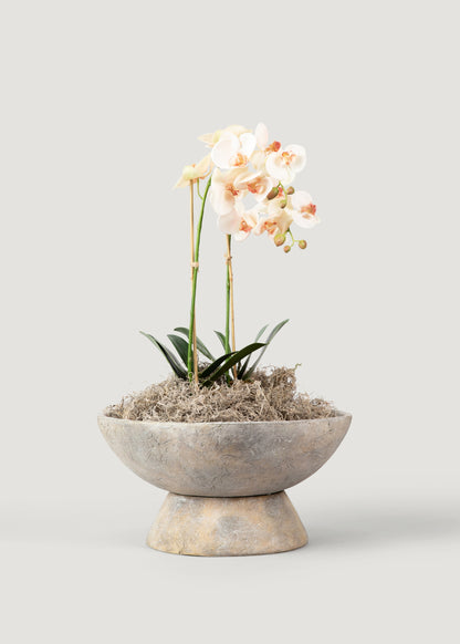 Faux Orchid House Plant