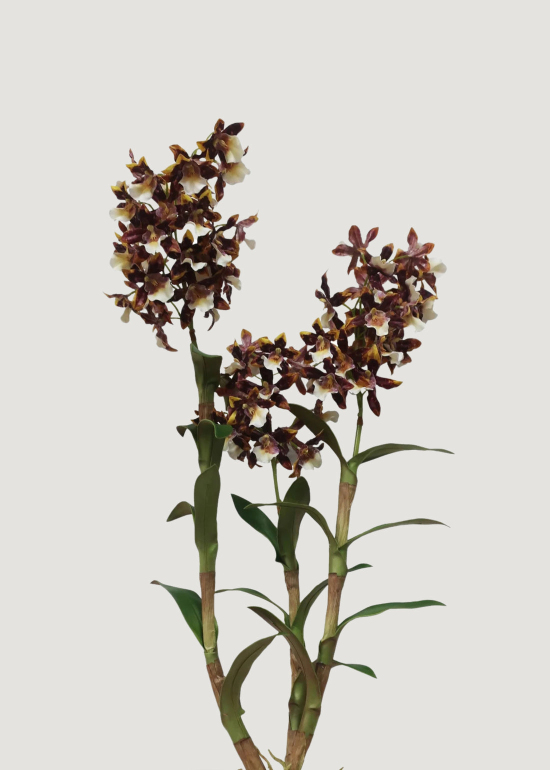 Brown and White Artificial Dendrobium Orchid Plant 