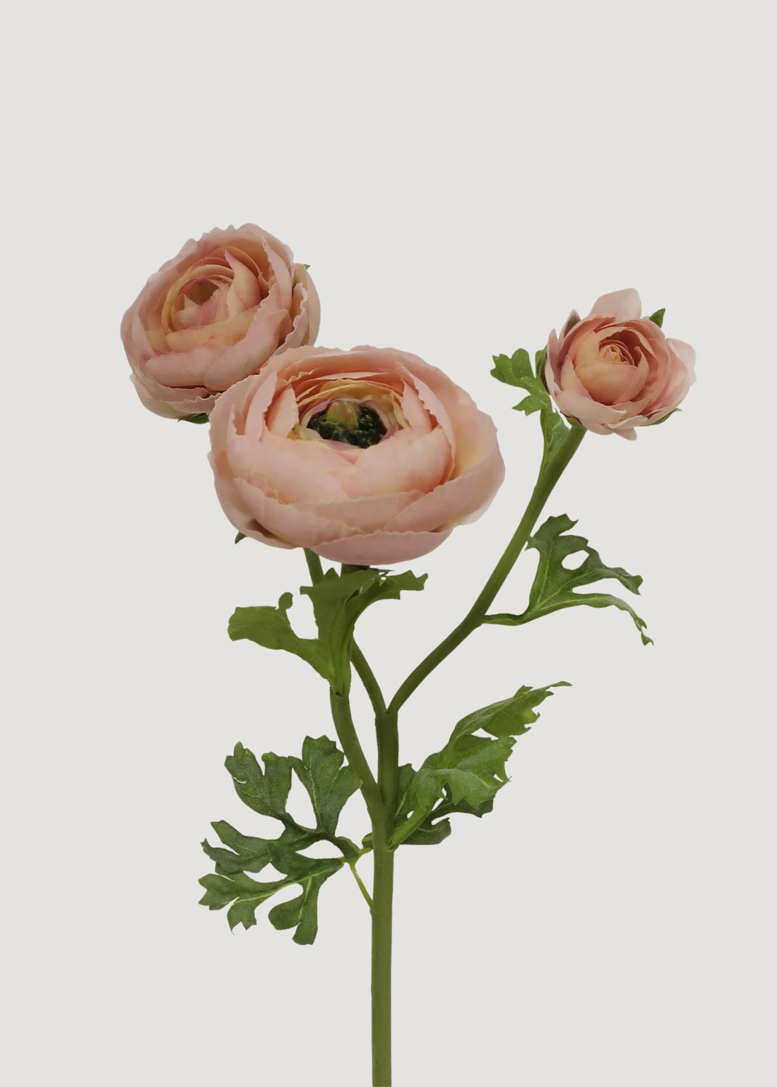 Peach Mauve Real Touch Ranunculus Faux Flowers