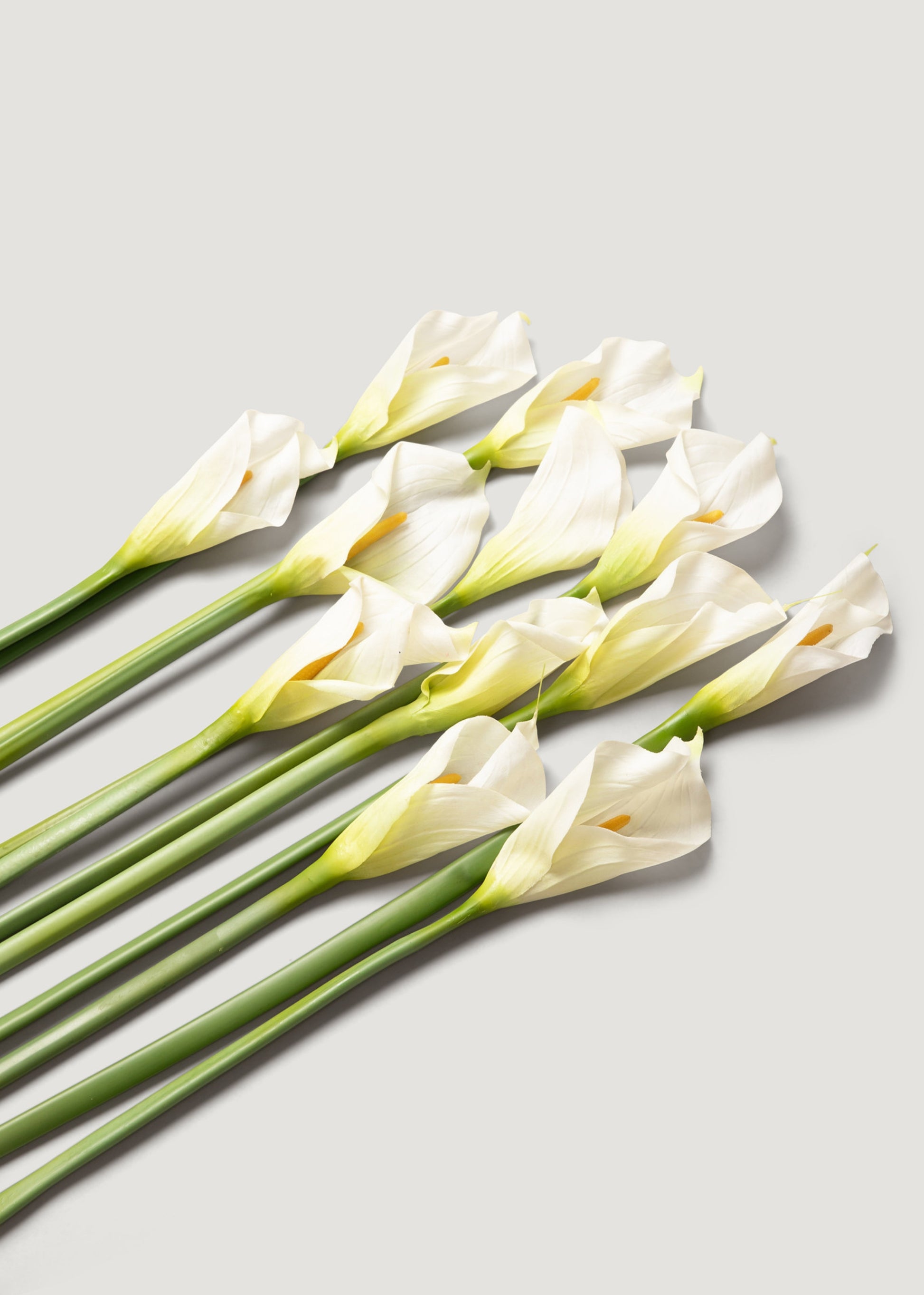 white artificial lilies Case of 12 Artificial Calla Lily Stems in Cream 37"