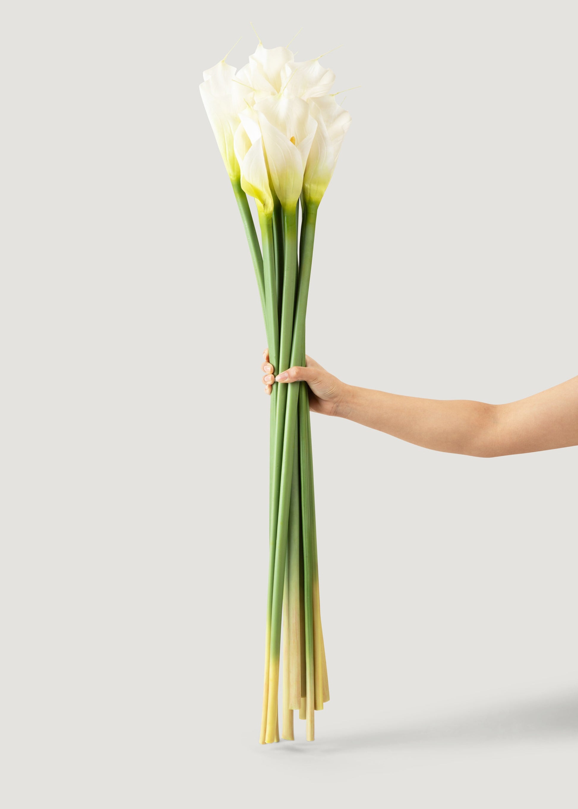 artificial peace lily stems Case of 12 Artificial Calla Lily Stems in Cream 37"