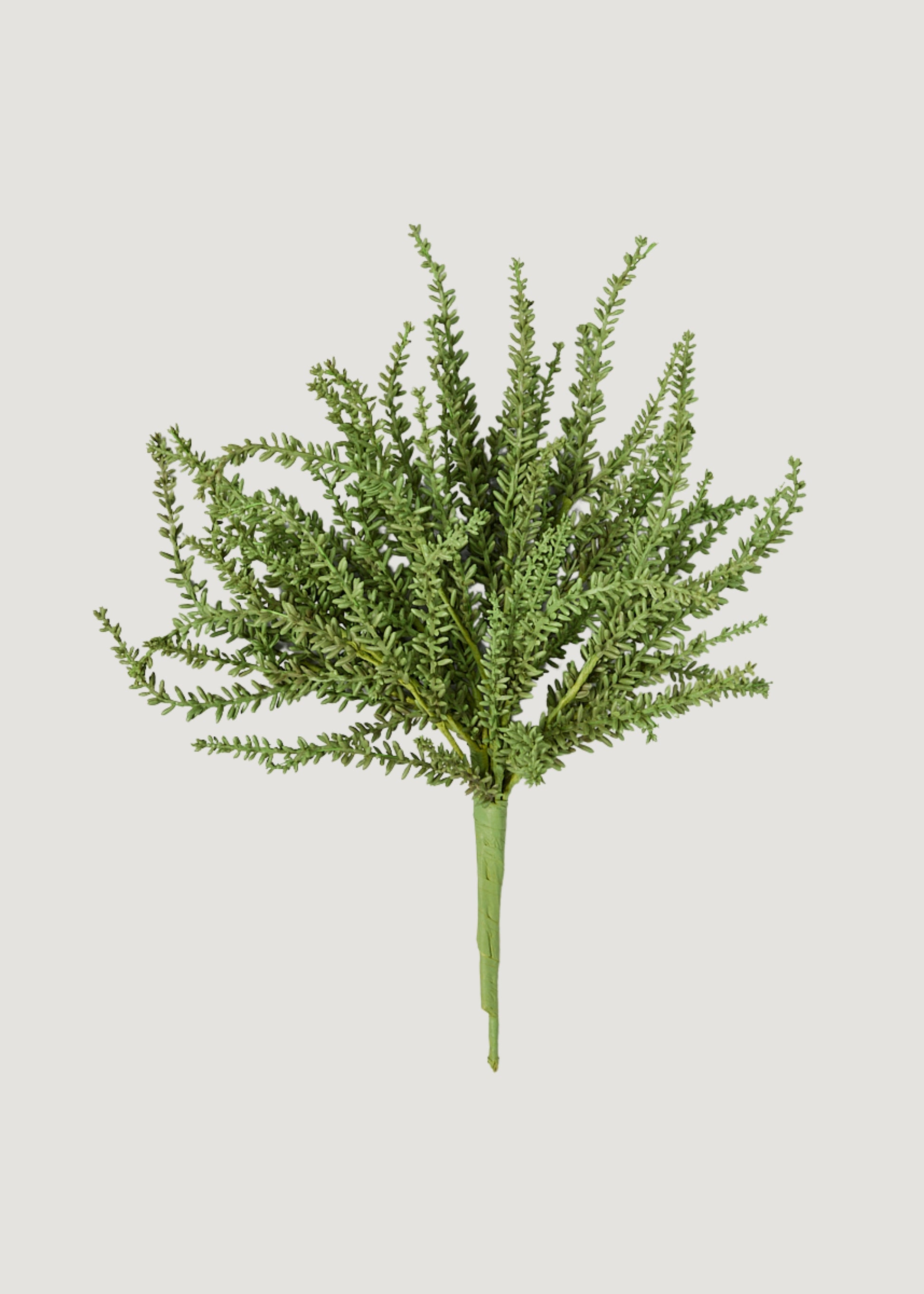 Artificial Succulents in Green Sedum Plant at Afloral