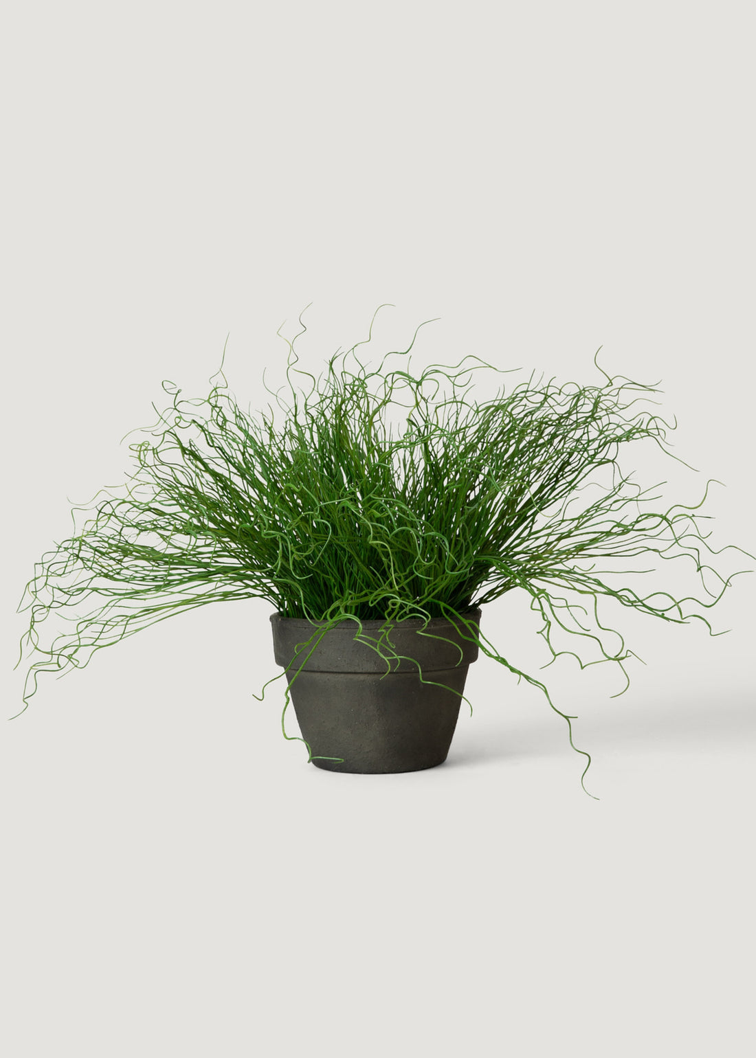 Artificial Potted Pencil Cactus Plant