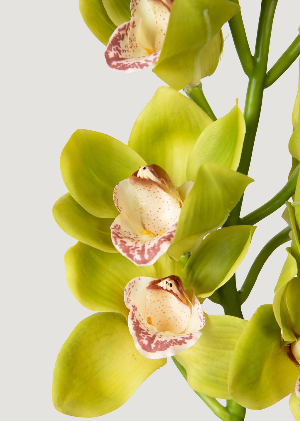 Green Burgundy Faux Cymbidium Orchids - 28.5"