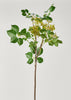 Premium Faux Greenery in the Afloral Privet Seeded Branch 