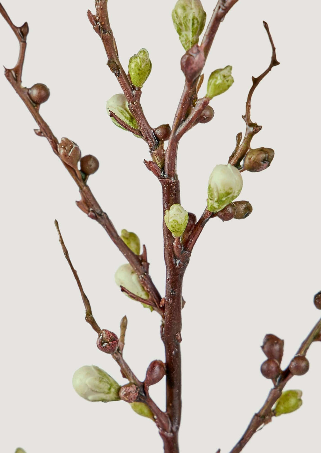 Artificial Budding Peach Blossom Branch in Afloral Closeup View