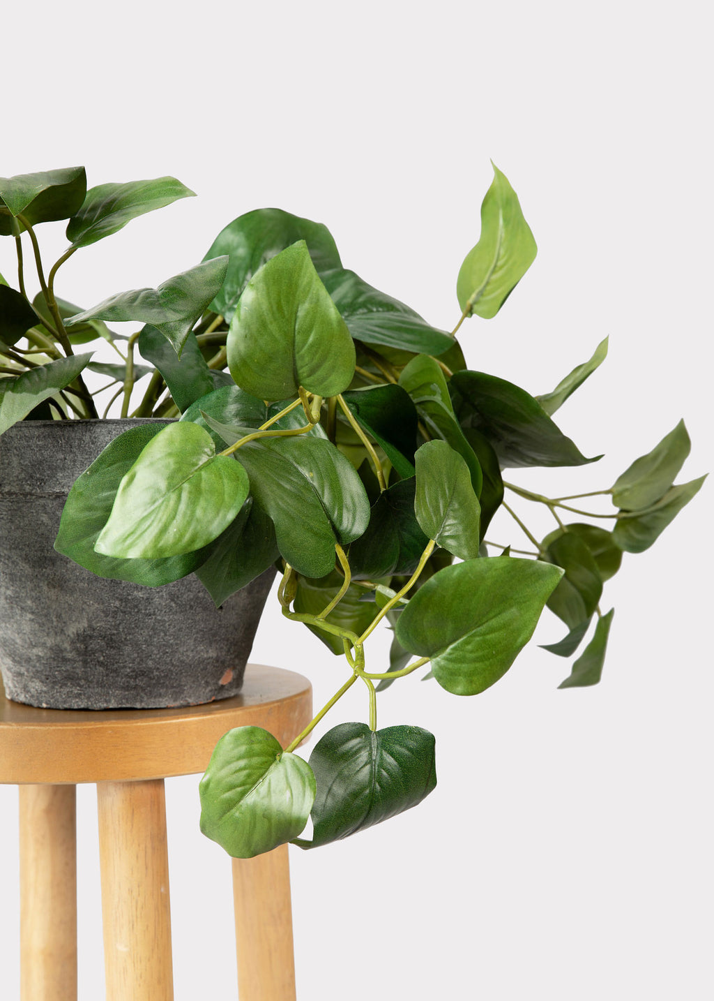 Artificial Philodendron