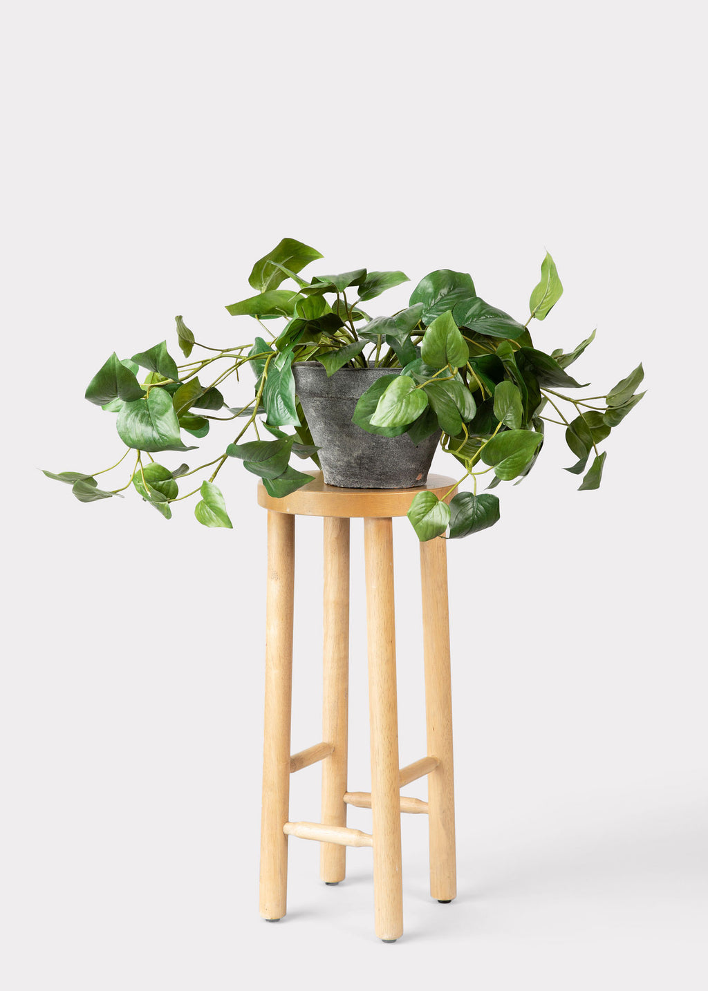 Fake Philodendron in Pot