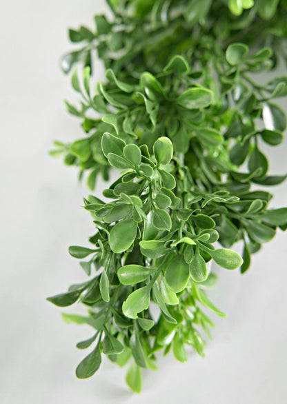 Afloral Closeup View of Faux English Boxwood Leaves in UV Treated Garland