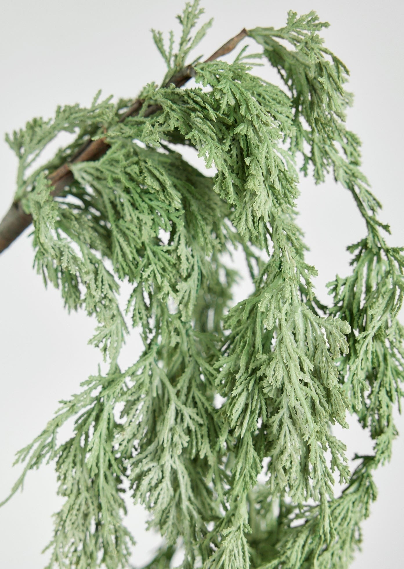 Closeup of Faux Cedar Foliage in Hanging Branch at Afloral