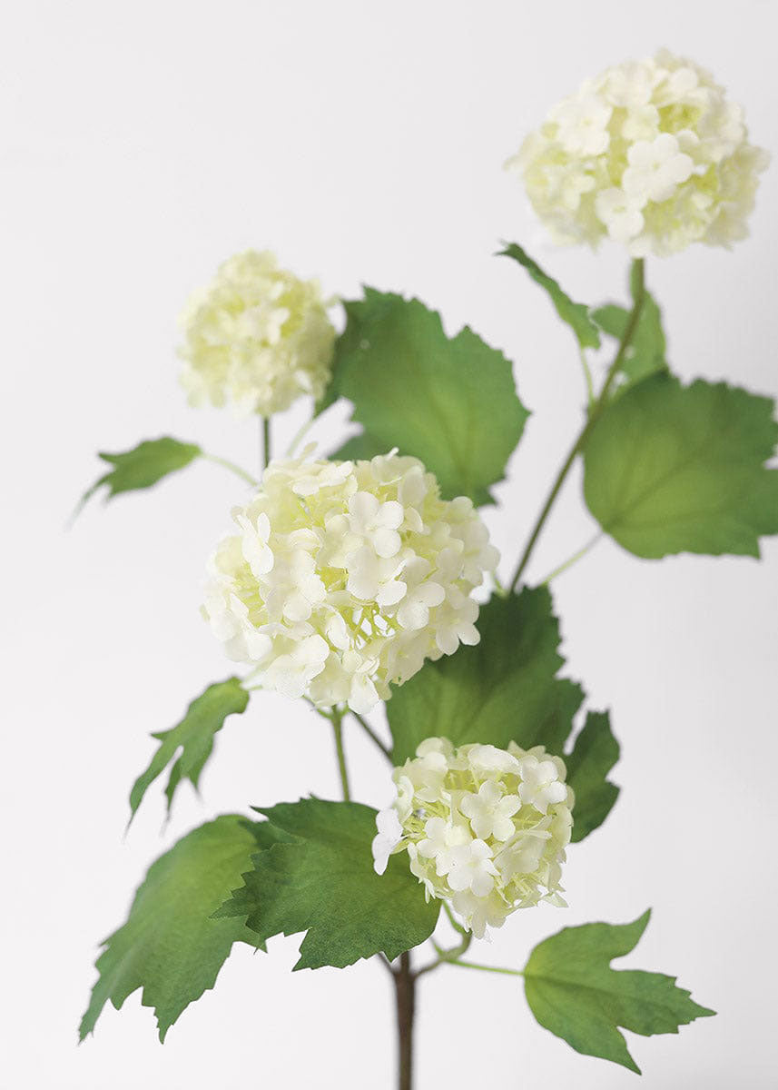 綾野剛さん着用♪ Off-white【Flowers Cream Floral】 High-Quality Artificial Flowers at Afloral.com | Cream Snowball Spray