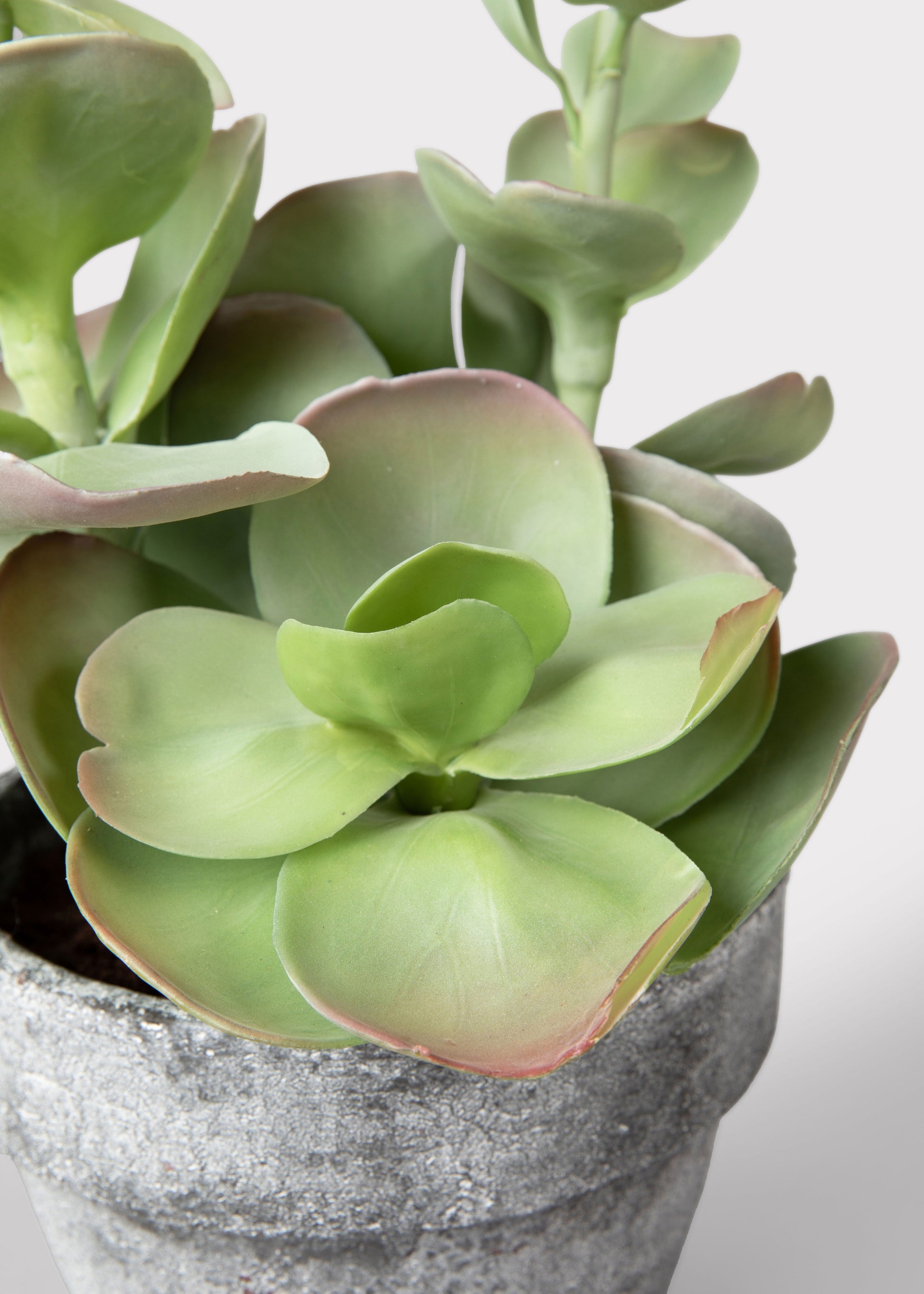 artificial succulents in white pots Fake Potted Artificial Succulent Plant