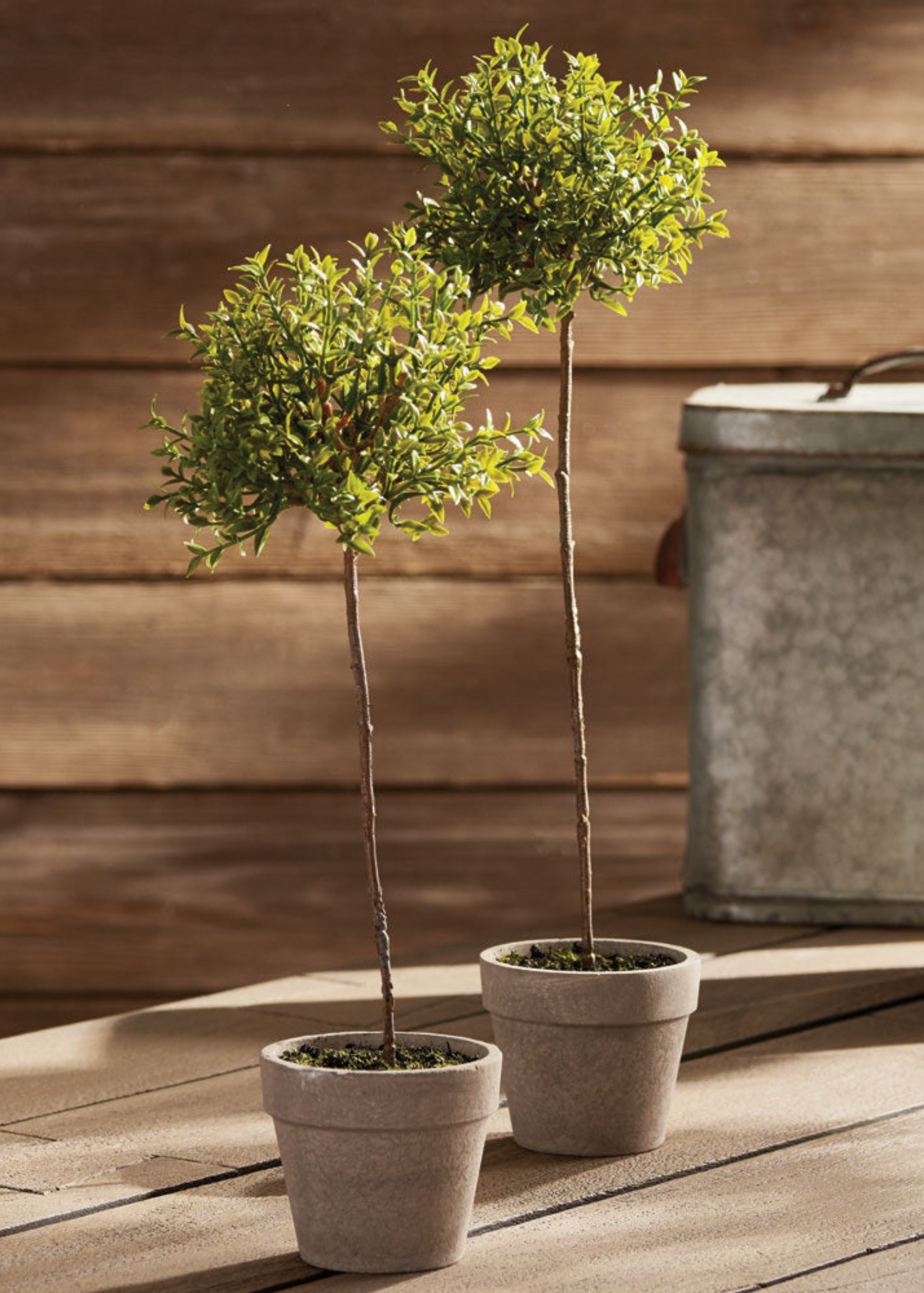 topiary potted plants Fake Thyme Topiary in Pot | Artificial Potted Plants