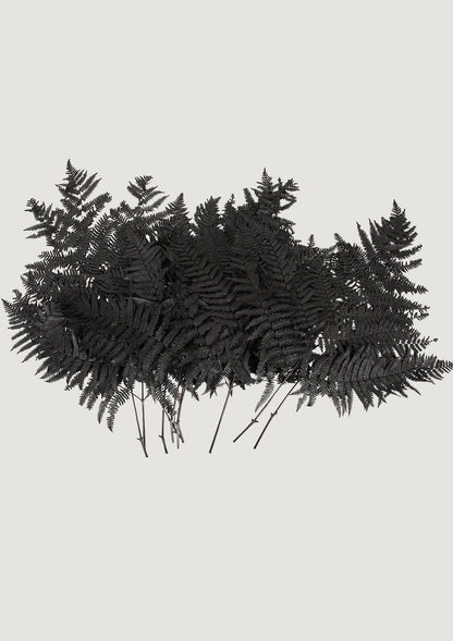 Afloral Dyed Black Leaves Preserved Bracken Fern Leaf Accents