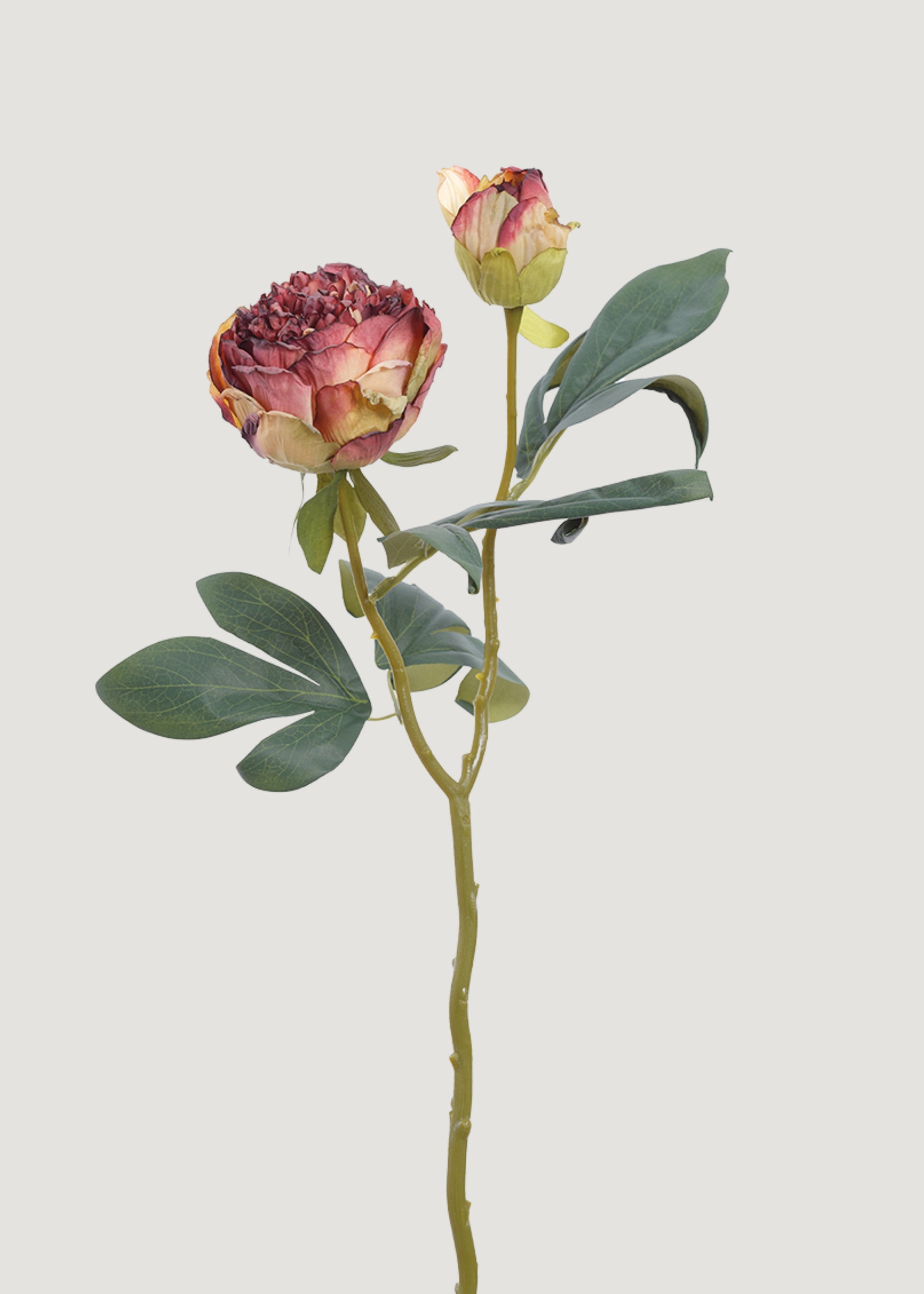 Dried Look Burgundy Artificial Peony