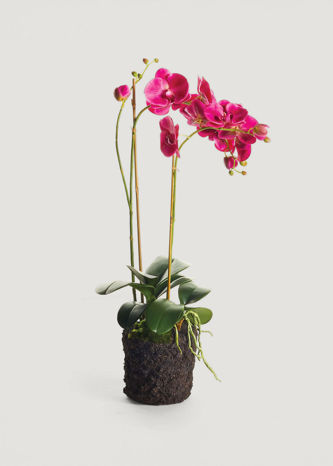 Fuchsia Pink Fake Phalaenopsis Orchid Drop-In Plant