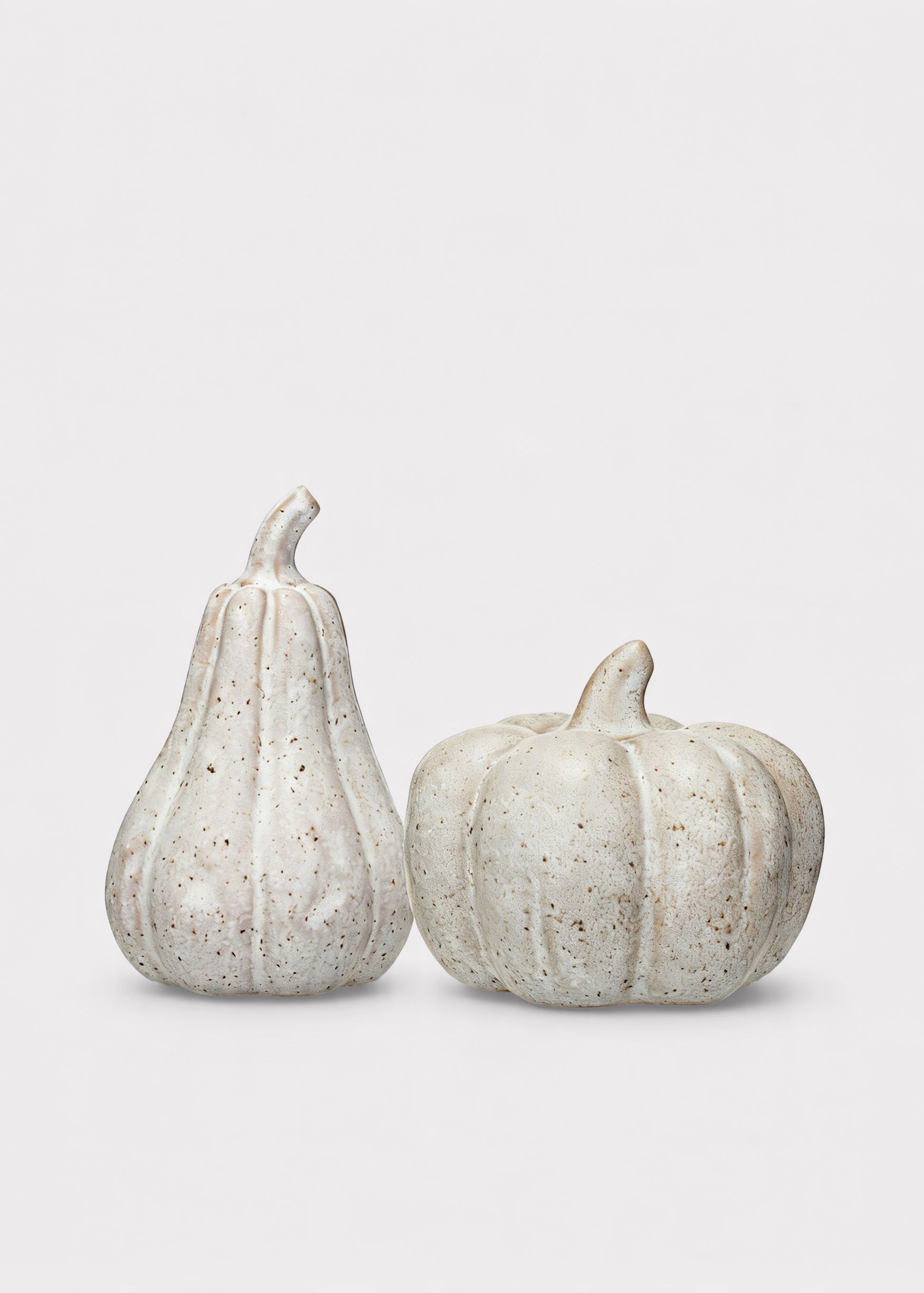 Set of 2 Speckled Stoneware Tabletop Pumpkins