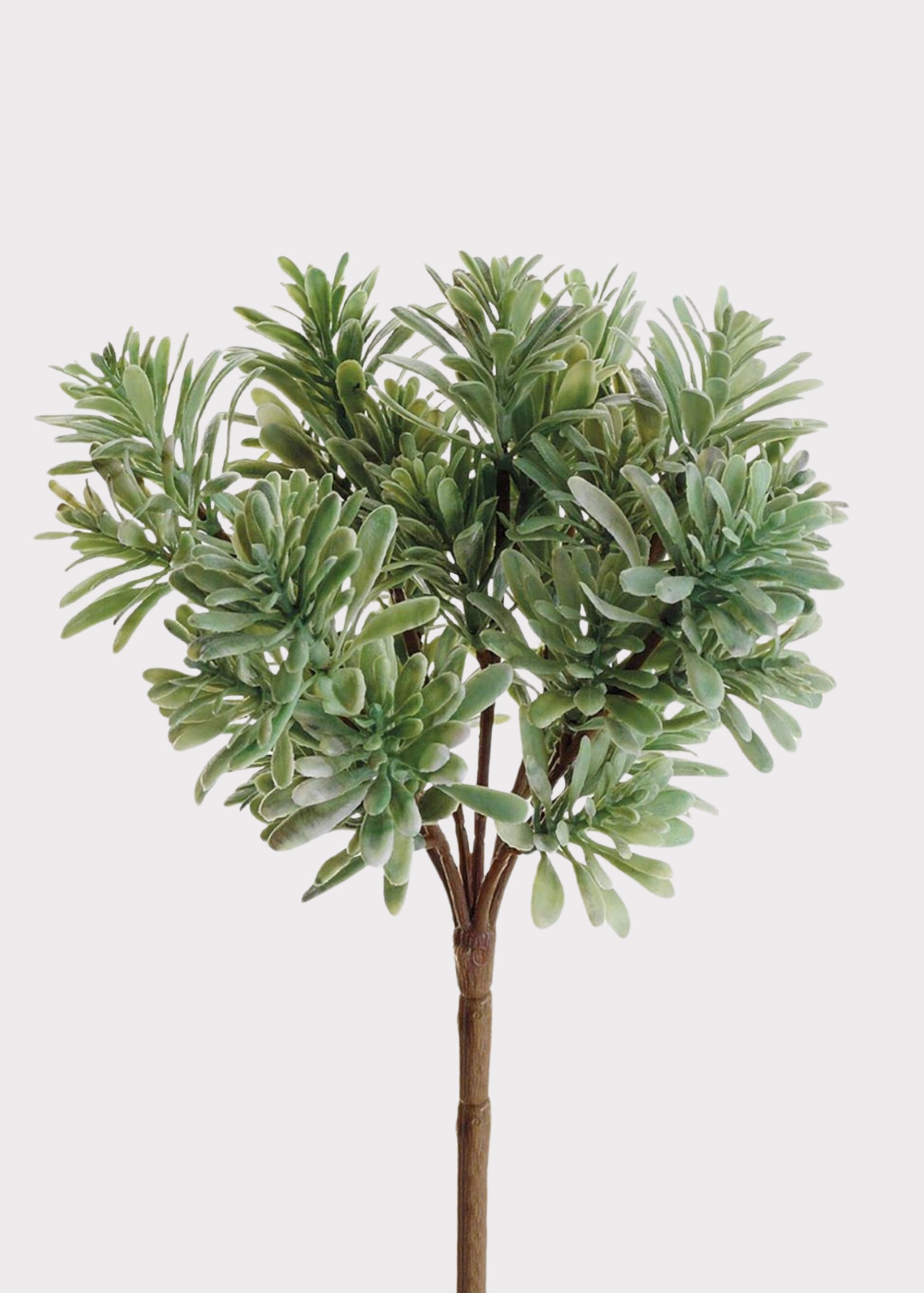Artificial Jade Succulent Plant