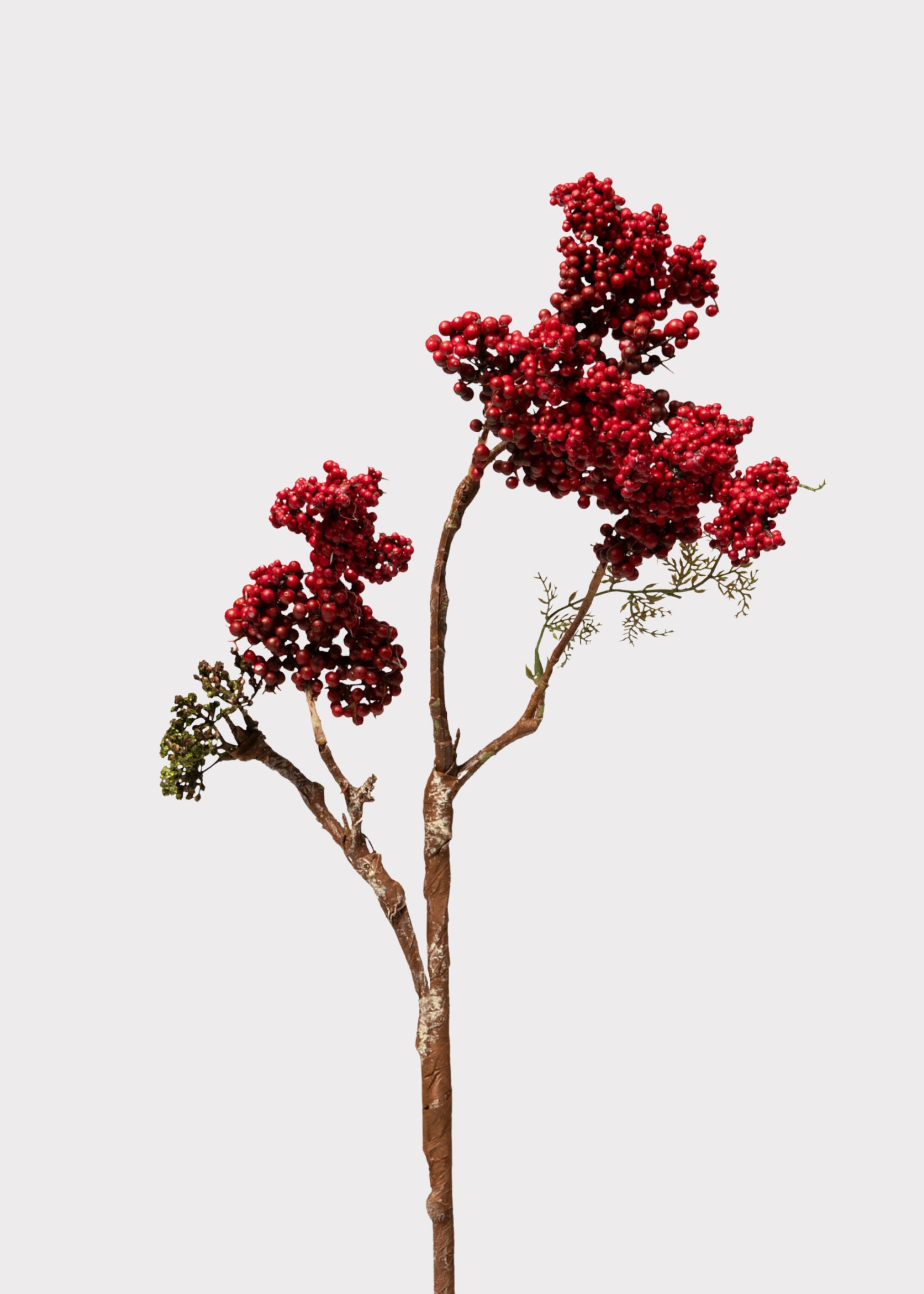 Fake Red Berries