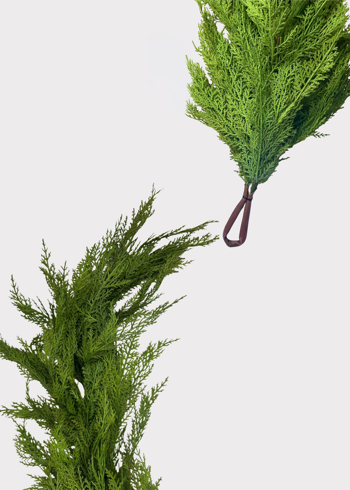 hanging loop and end of the Lebanon Cedar garland