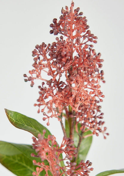 Closeup View of Faux Rust Burgundy Fall Skimmia Flowers at Afloral