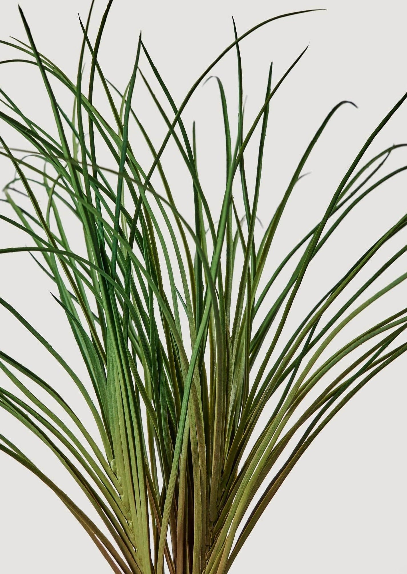 Faux Onion Grass Plant in Closeup View
