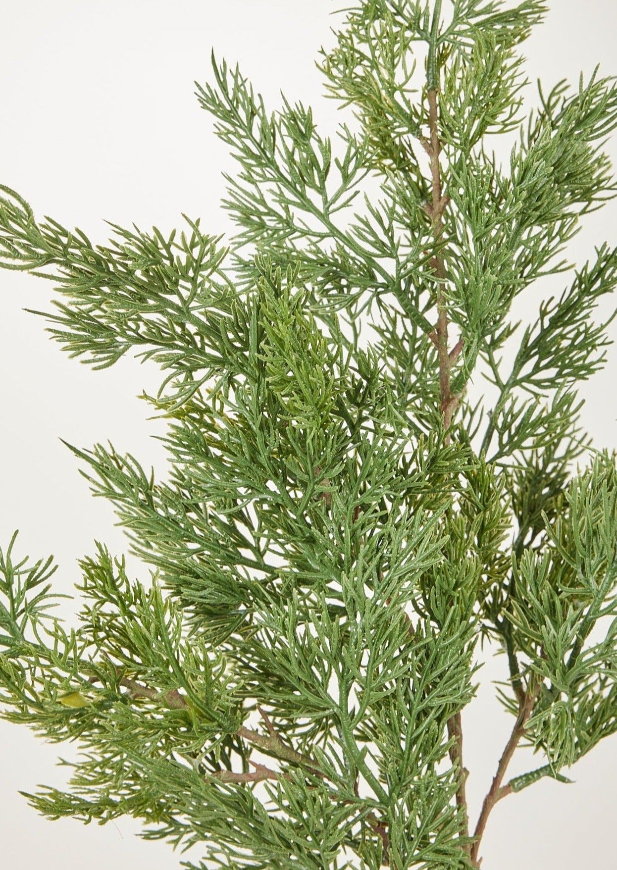 Closeup View of Artificial Green Cedar Foliage