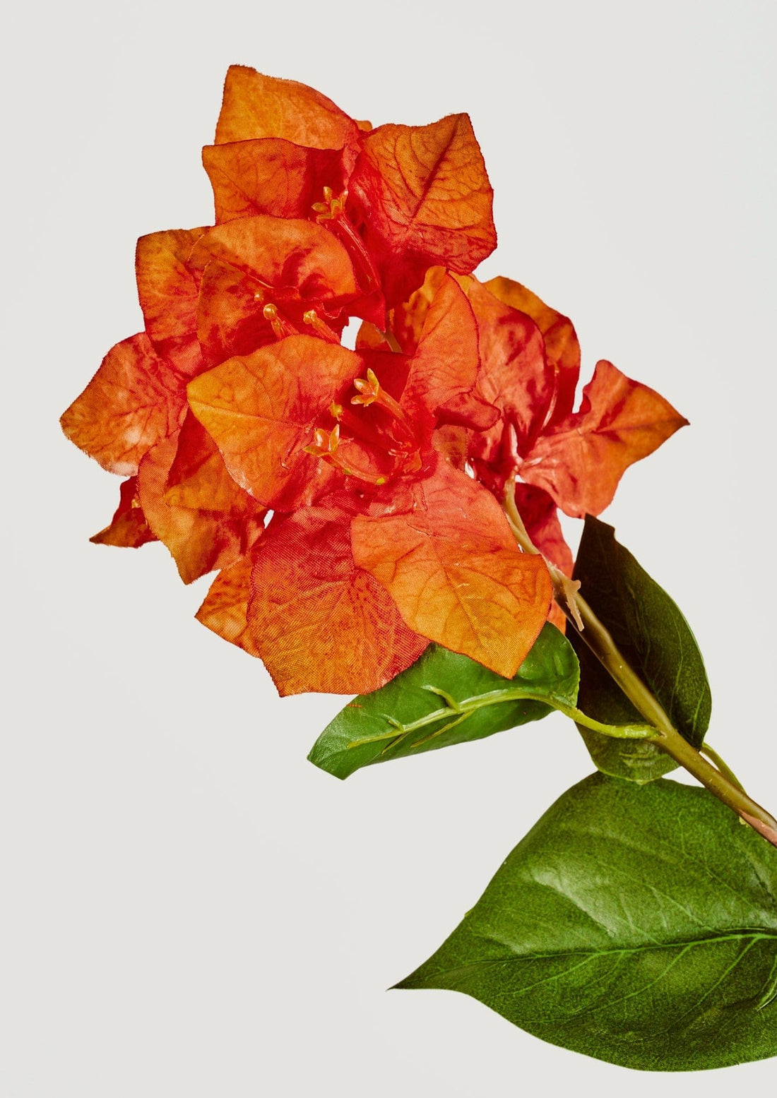 Orange Faux Bougainvillea Flower in Afloral Closeup View