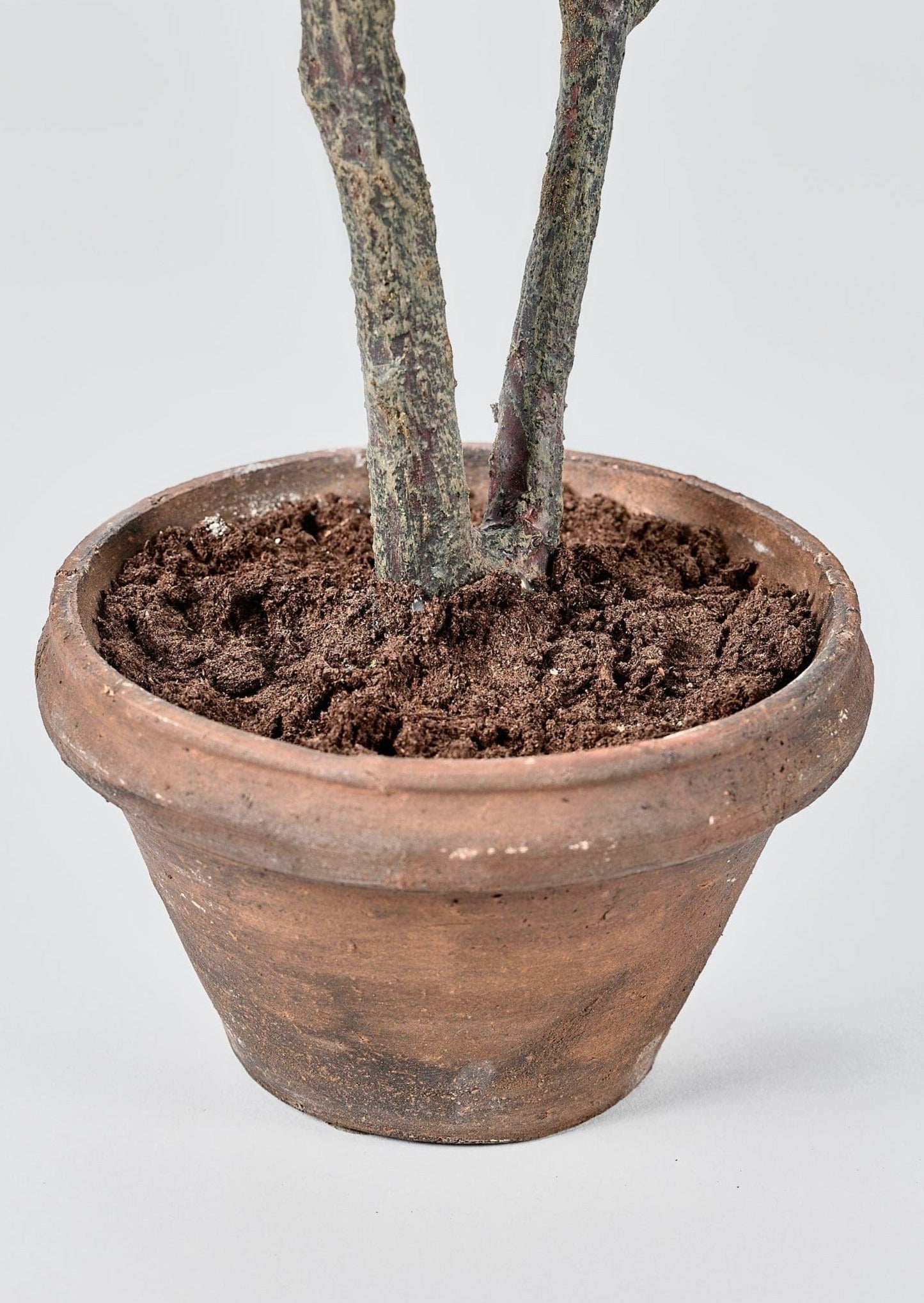 Faux Euonymus Tree Plant Closeup of Pot and Soil