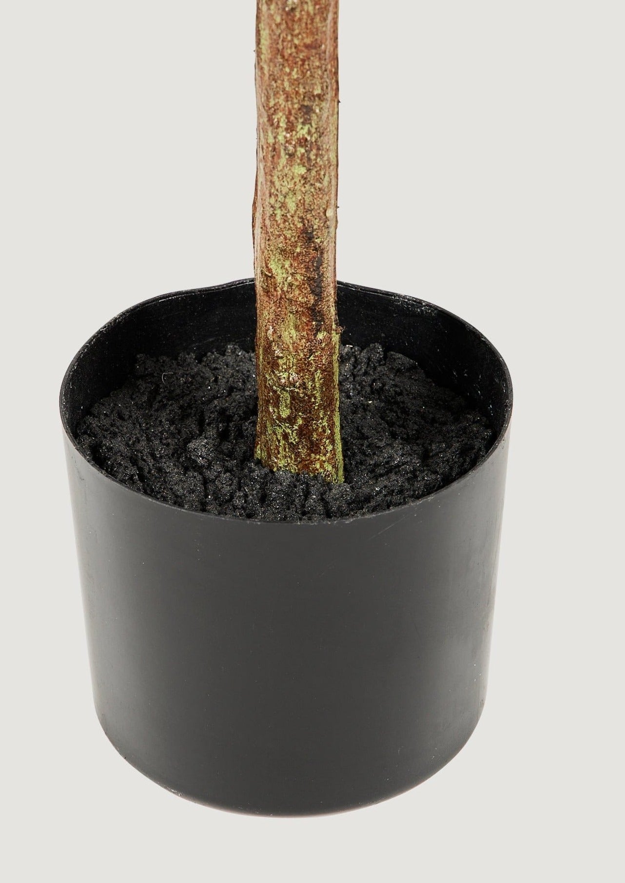 Afloral Artificial Eucalyptus Tree Potted in Black Pot