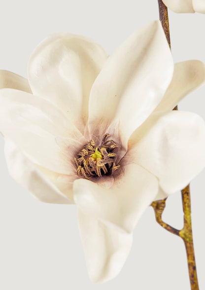 Cream and Mauve Taupe Faux Magnolia Bloom in Closeup View