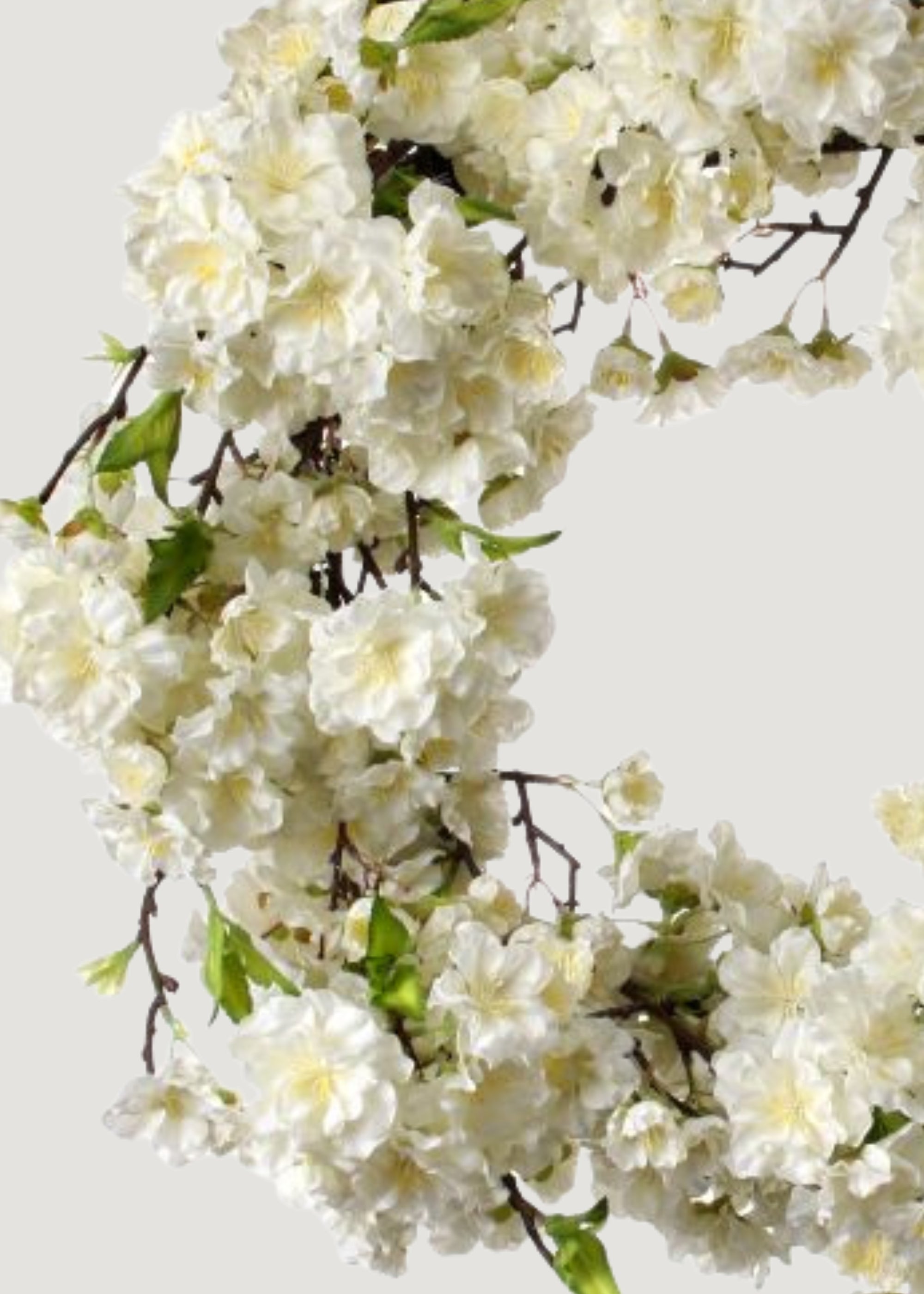 Close-up of Cream Artificial Cherry Blossom Flower Wreath