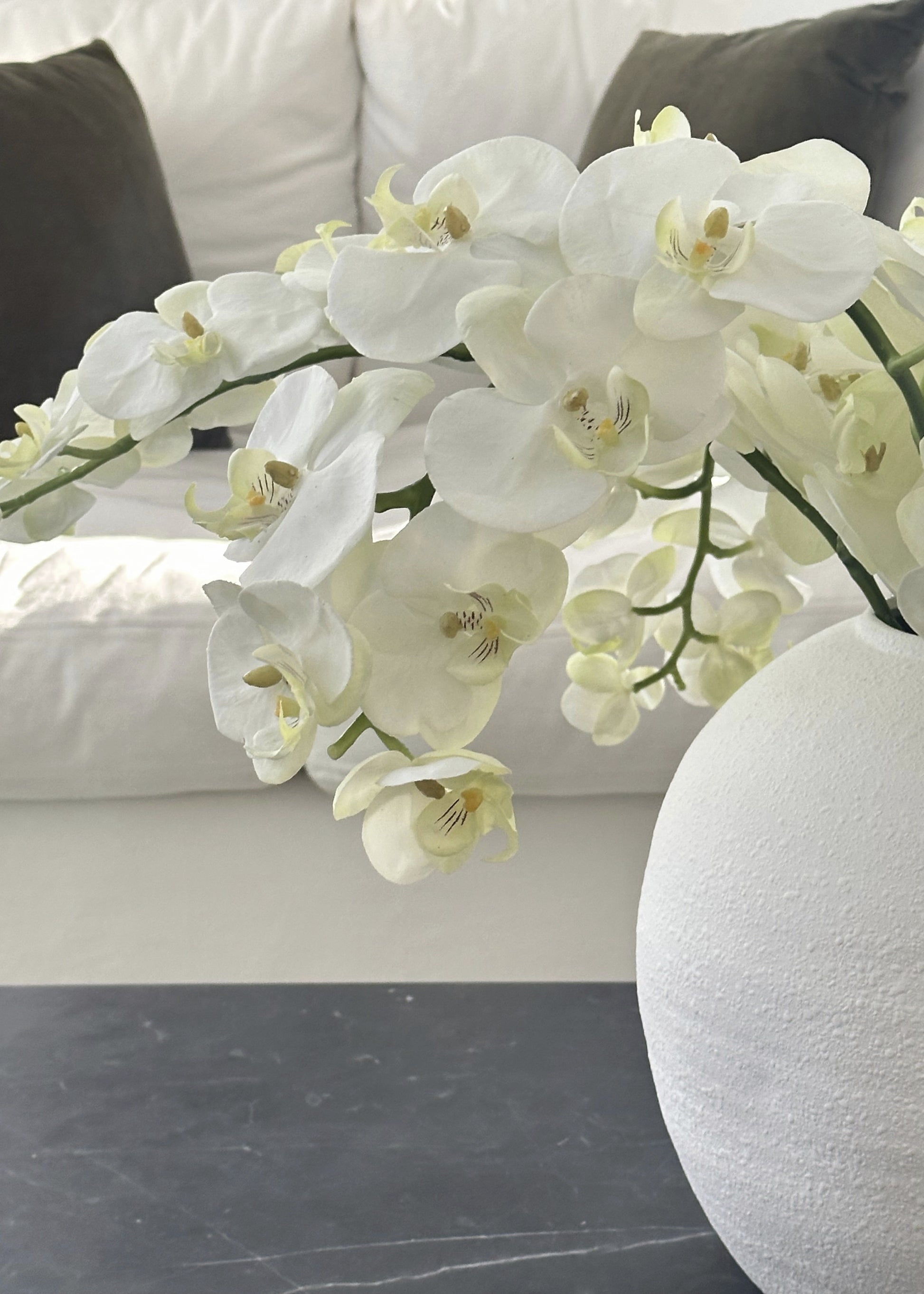 White flowers in a vase against a neutral background