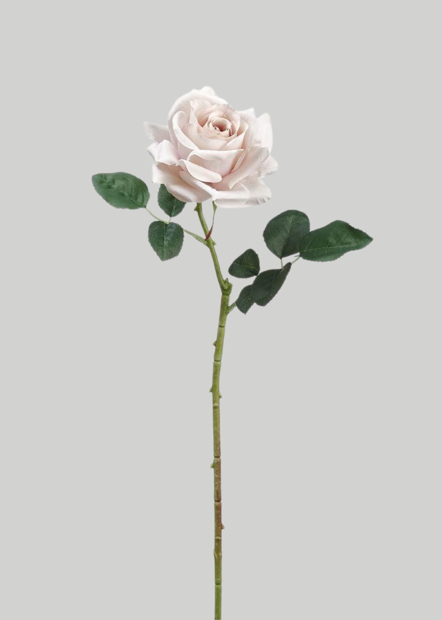 Taupe curly rose spray with ruffled petals and buds on a wired stem