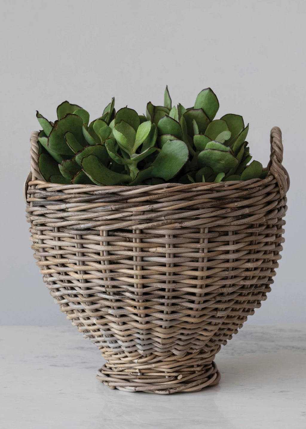 Handmade Rattan Basket with Succulents