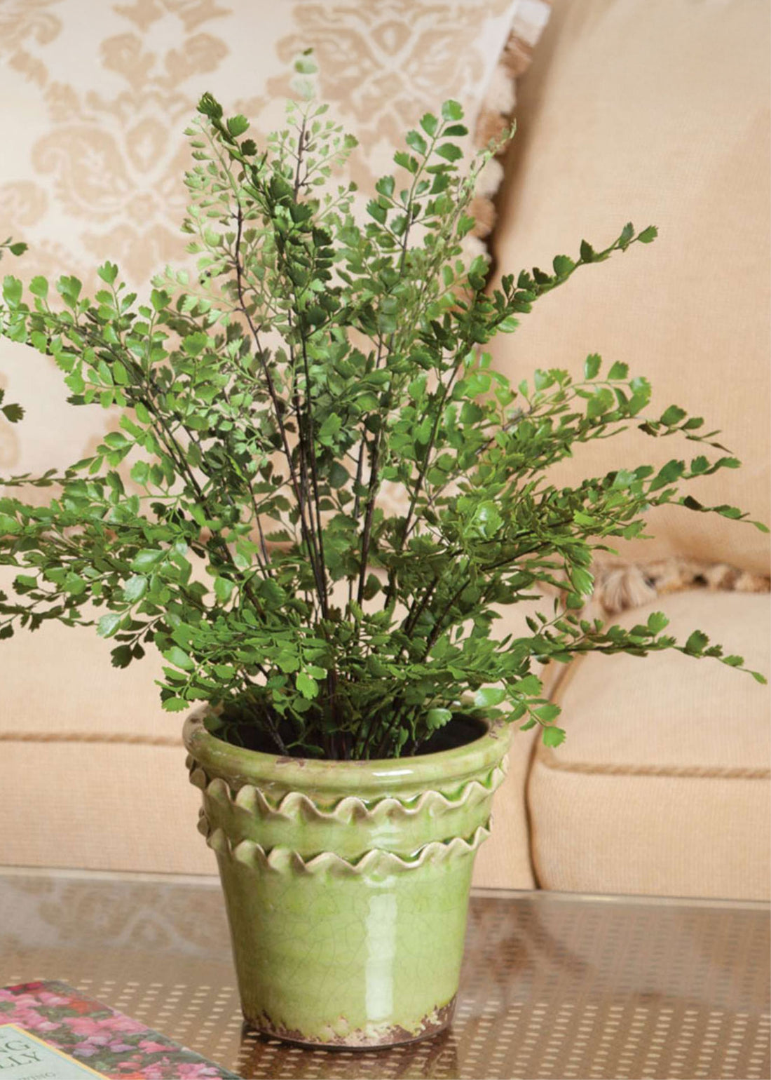 Fake Maidenhair Fern in Green Pot