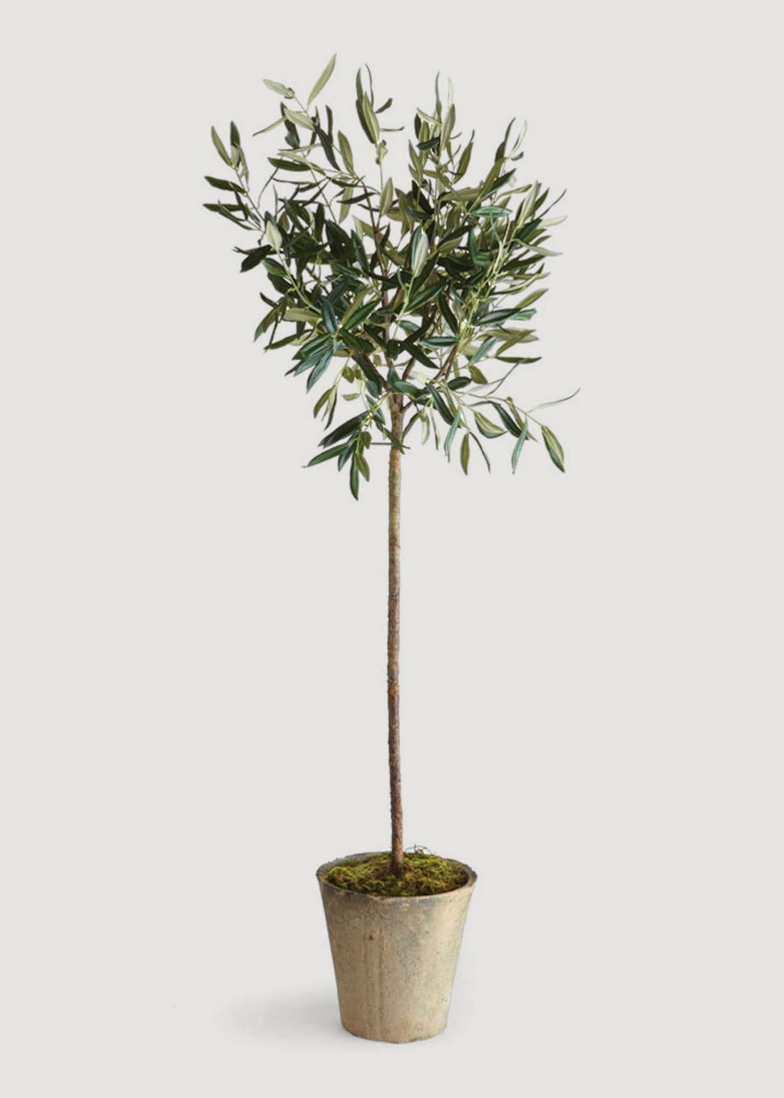 Tall Fake Olive Tree Potted Plant