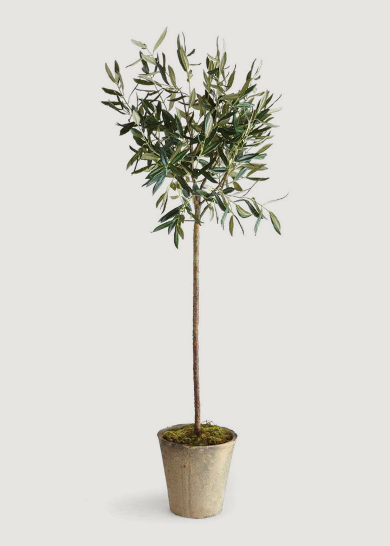 Tall Fake Olive Tree Potted Plant