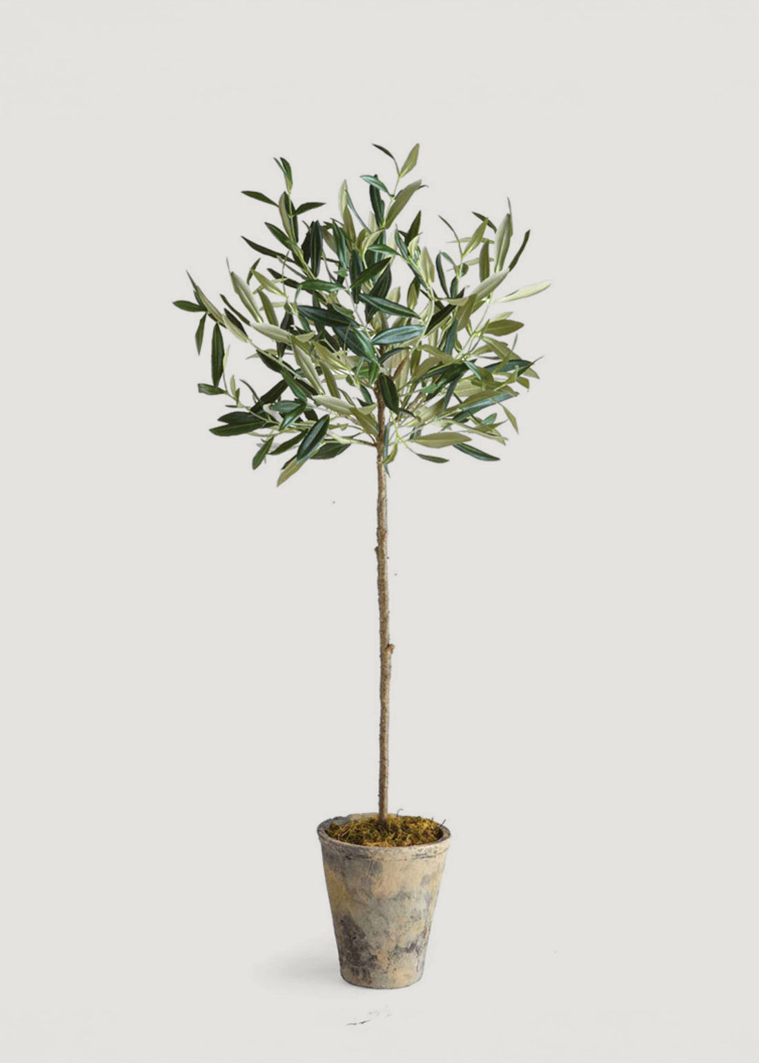 Artificial Potted Olive Tree Plant 
