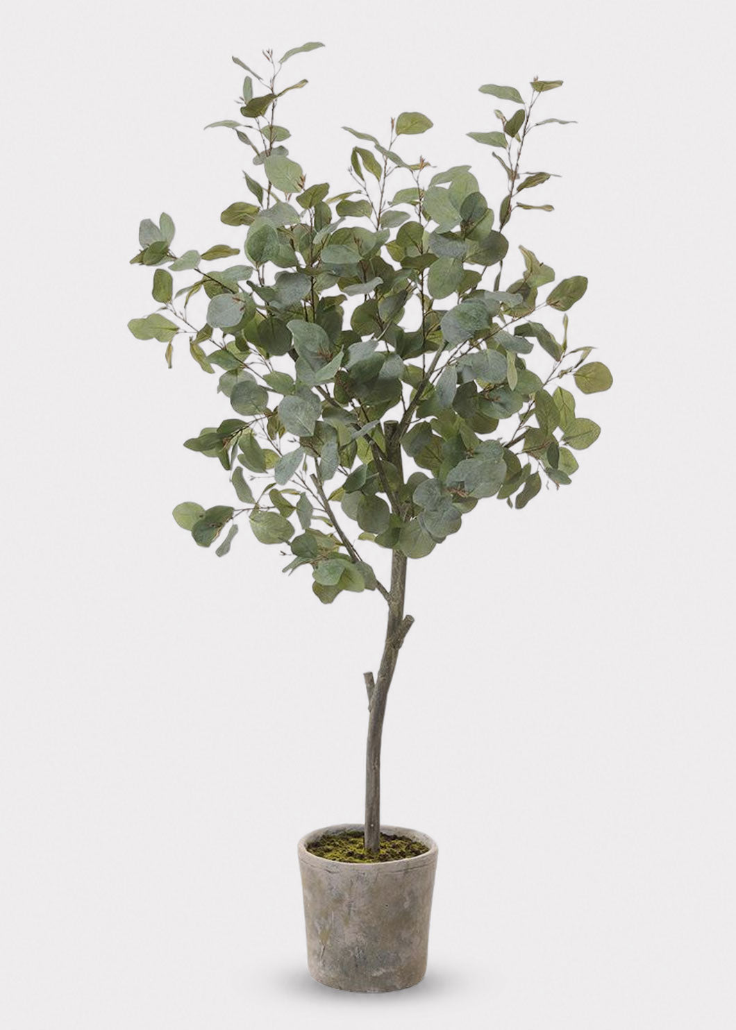 Artificial Potted Eucalyptus Tree Plant