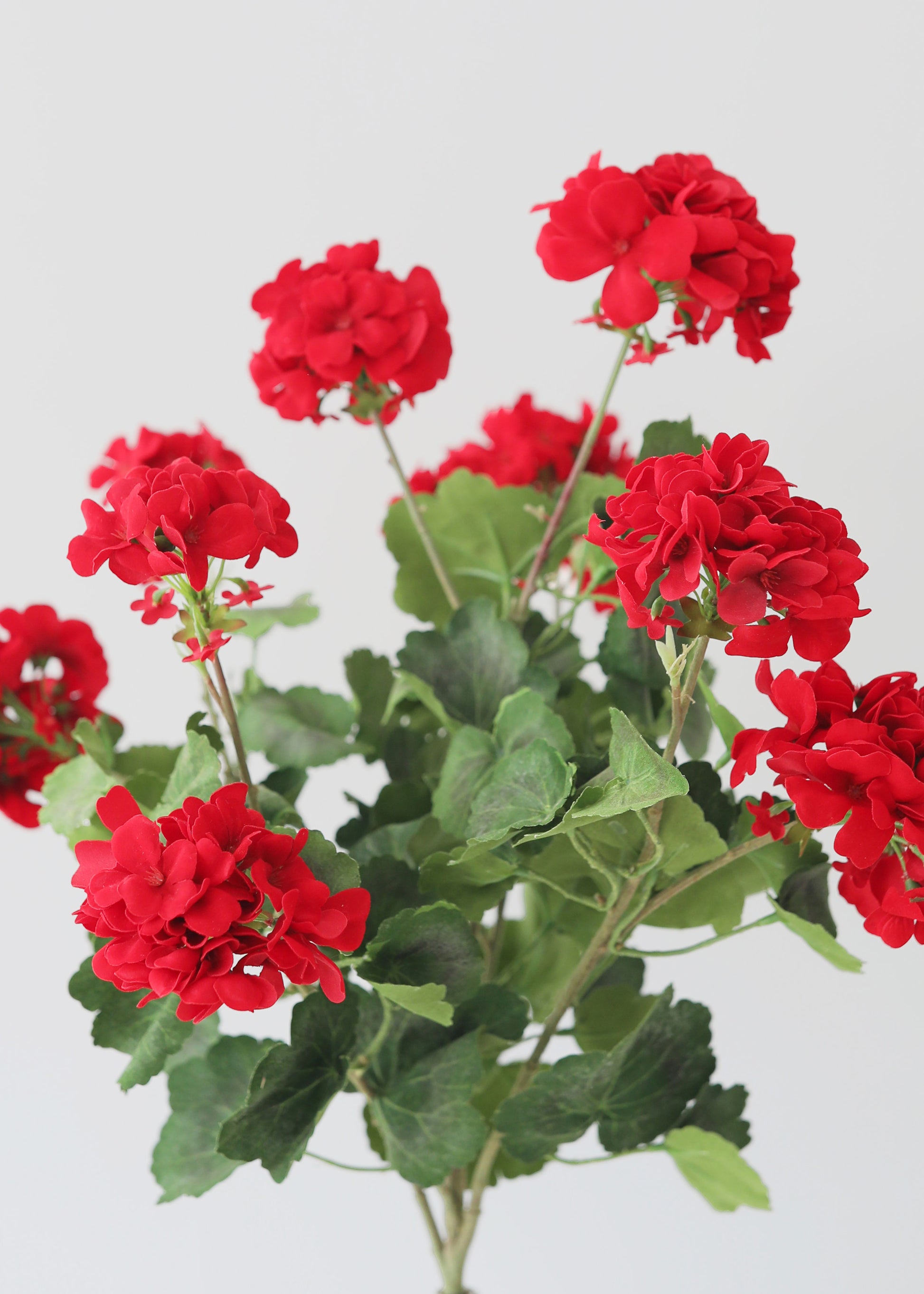 Artificial Red Geraniums
