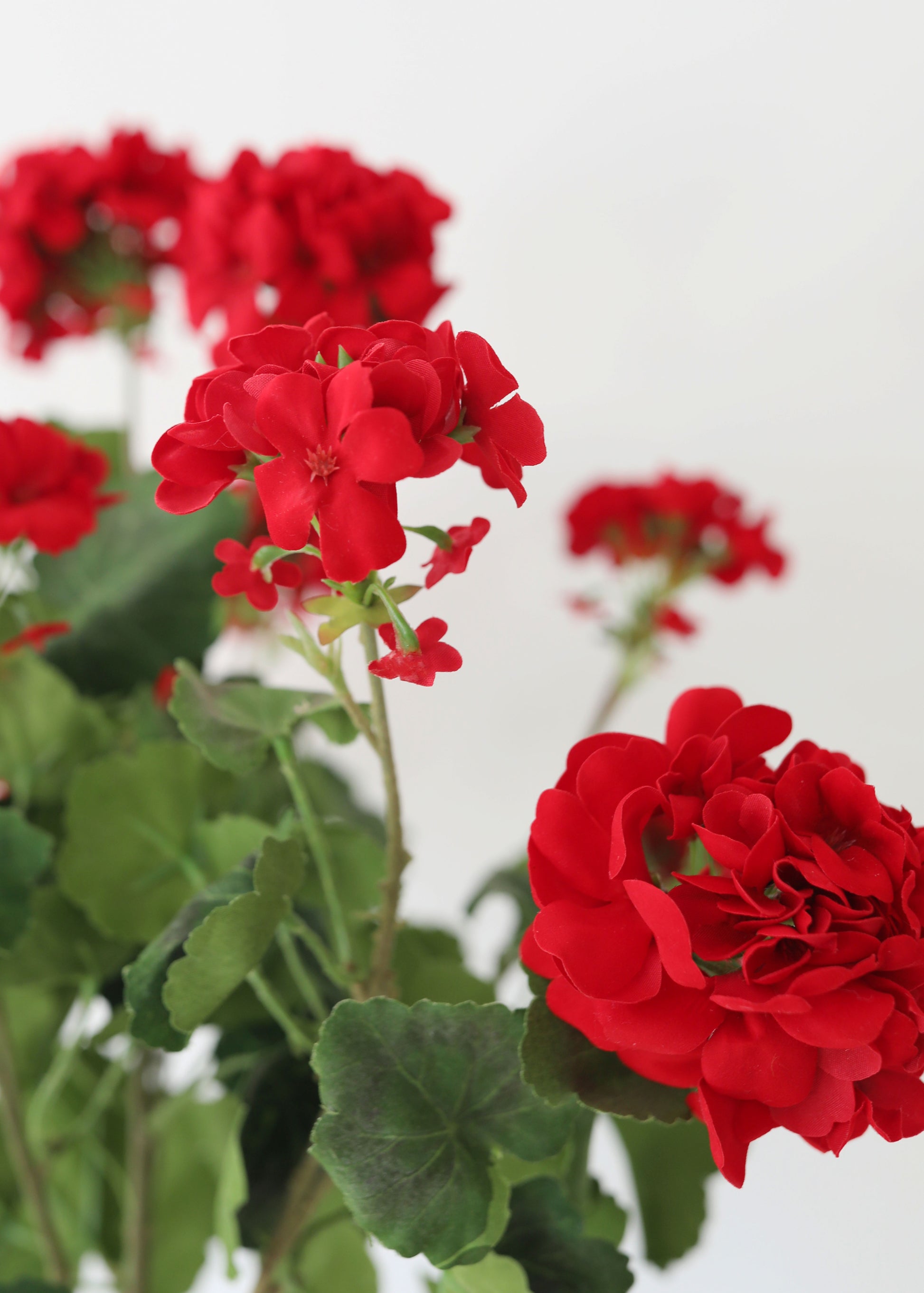 Faux Red Geranium Flowers