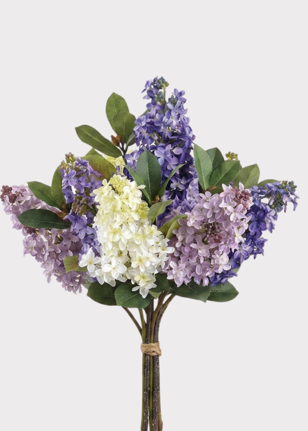 Purple and White Lilacs