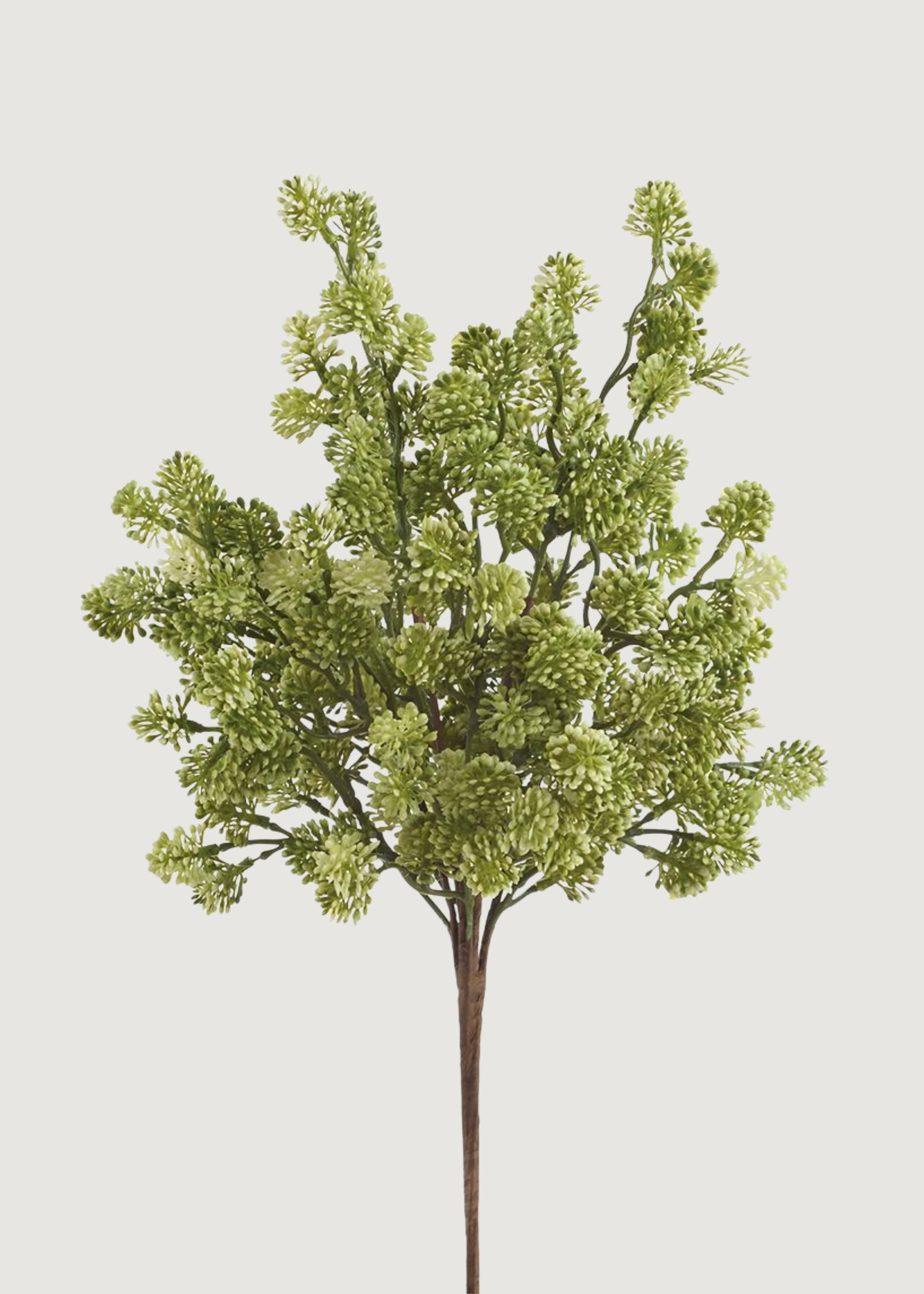 Artificial sedum succulent bush in green cream with lifelike clustered rosettes