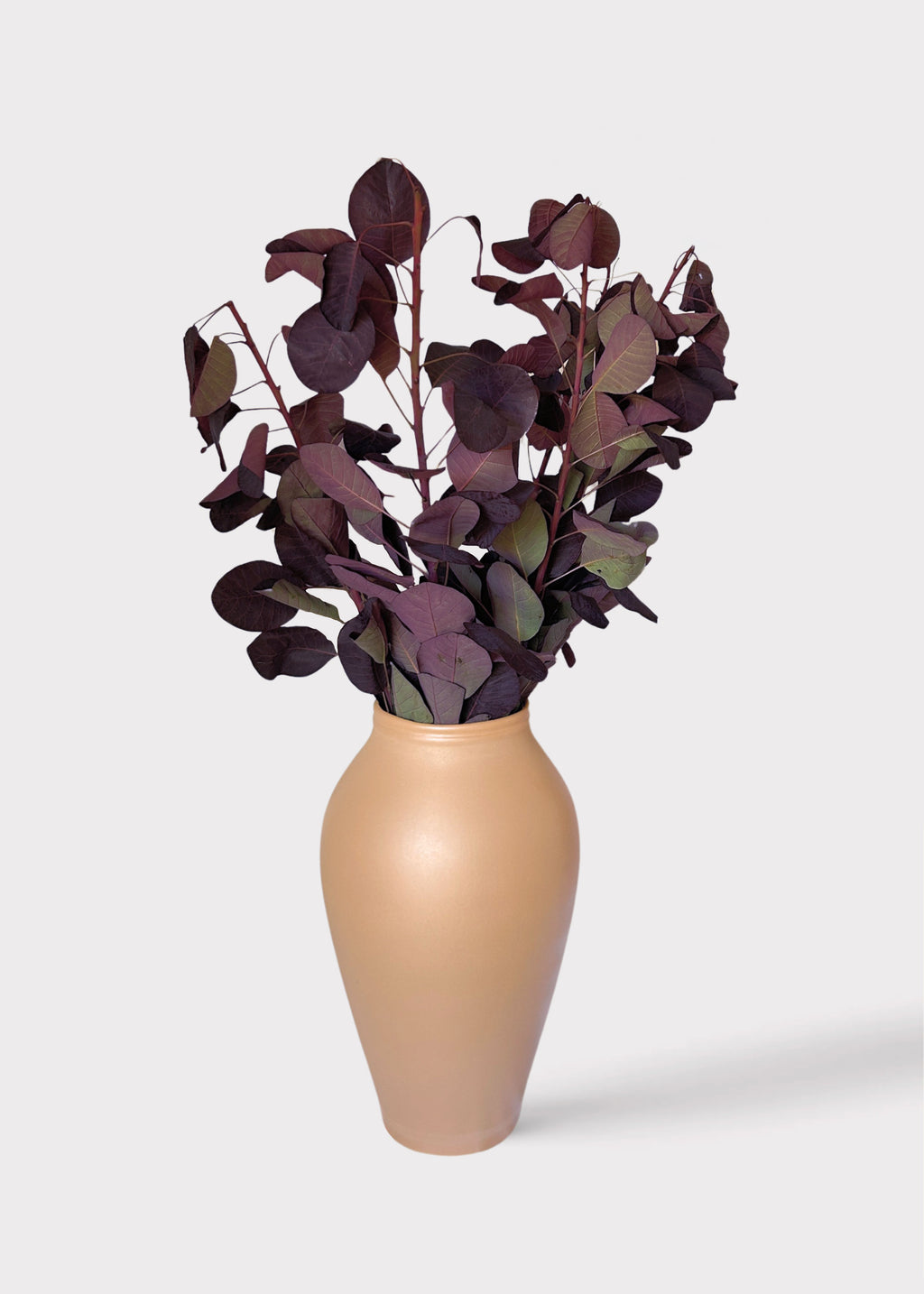 Fresh Cotinus Leaves in Terracotta Vase