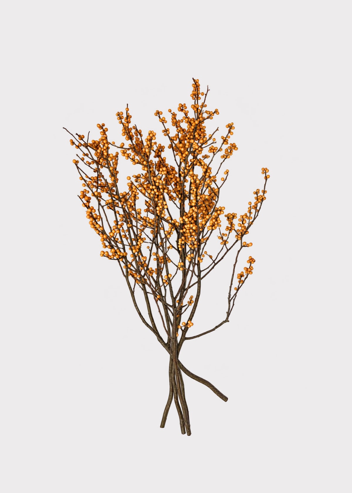 Winterberry Ilex Berry Branches