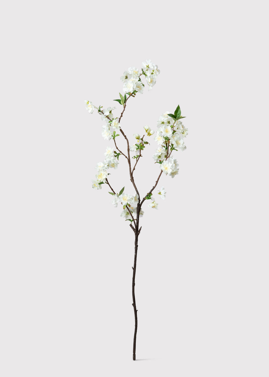 Cream White Artificial Cherry Blossom