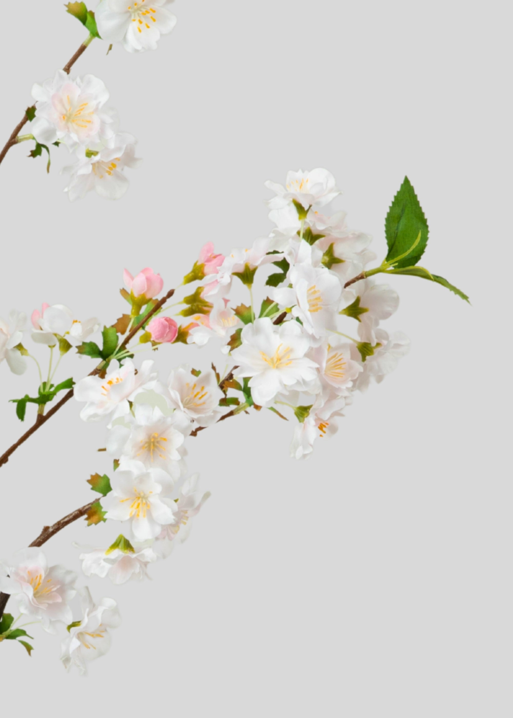 Faux Cherry Blossoms in Blush